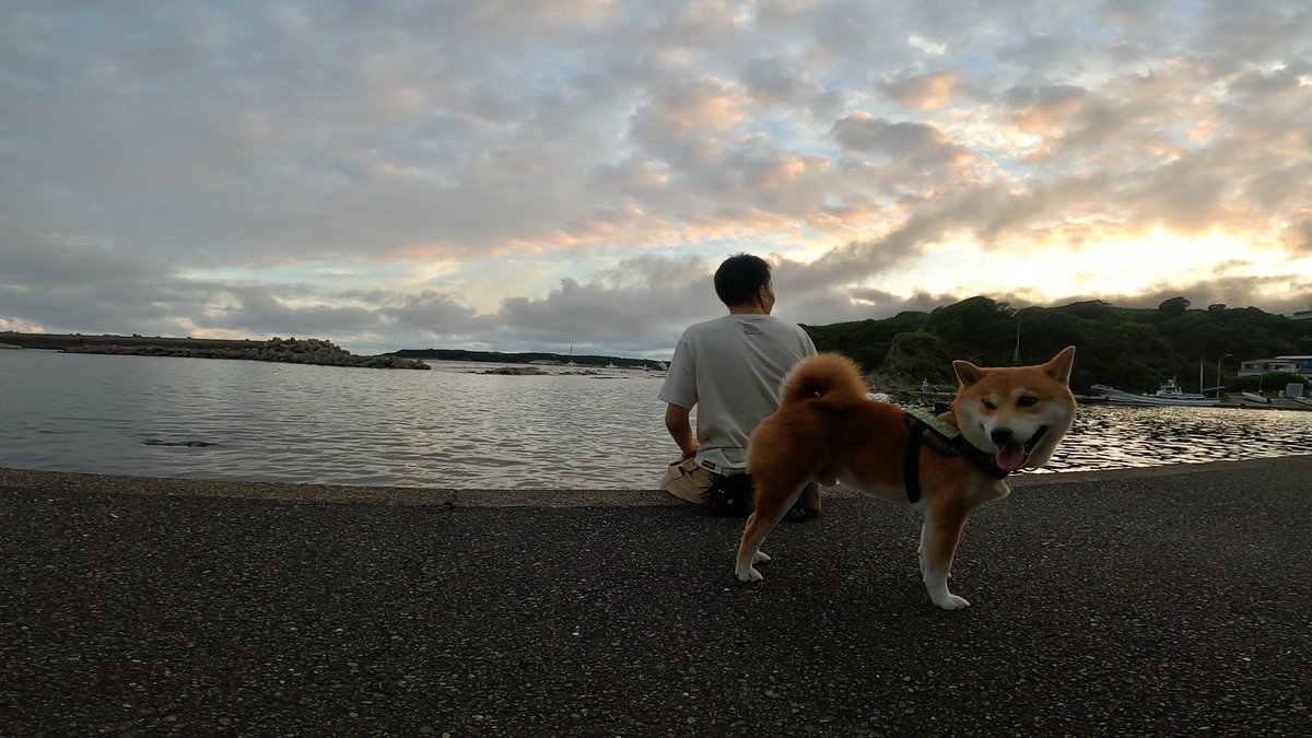 8471Fc's tweet image. 今日も柴犬こむぎと三浦半島で1日の終わりを共にする🐾
夕方の潮の香りや、焼けていく空を見ながら「明日も良い日になるに違いない」と確信する(台風来てるけど)