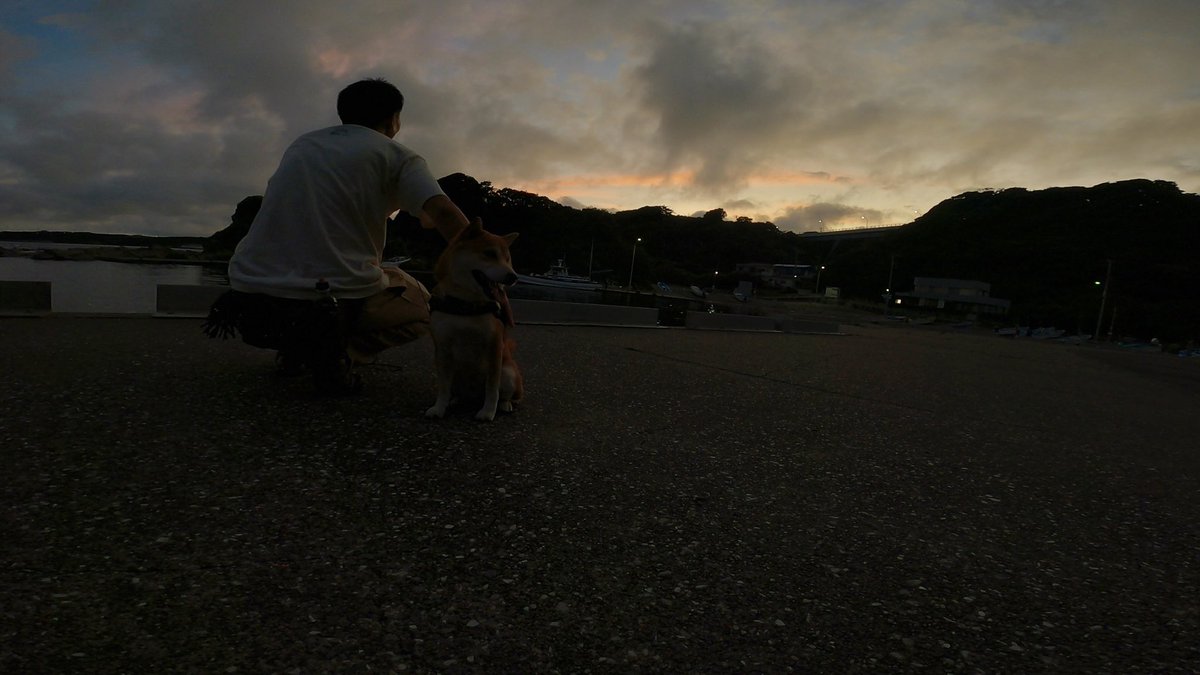 8471Fc's tweet image. 今日も柴犬こむぎと三浦半島で1日の終わりを共にする🐾
夕方の潮の香りや、焼けていく空を見ながら「明日も良い日になるに違いない」と確信する(台風来てるけど)
