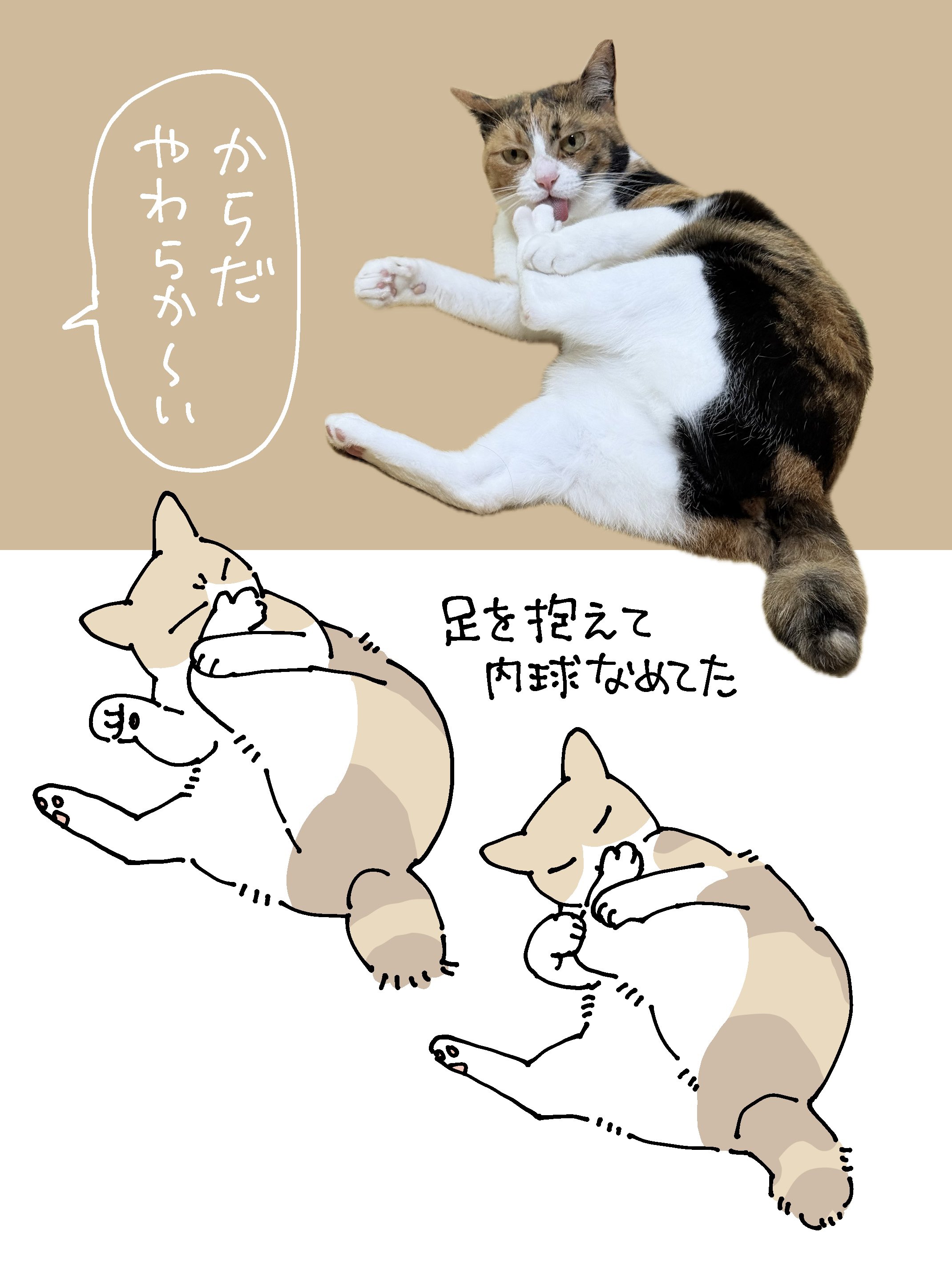 ねこ AKR🌻7巻でたよ on X: 