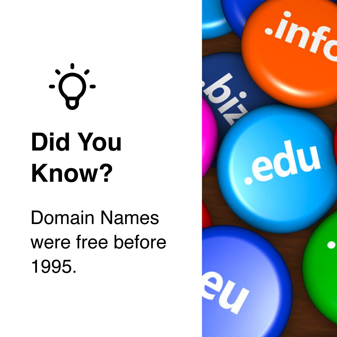 DeeWayneAnthony's tweet image. You get a domain, and you get a domain. Everyone gets a domain.

#technologyfacts #technologytrends