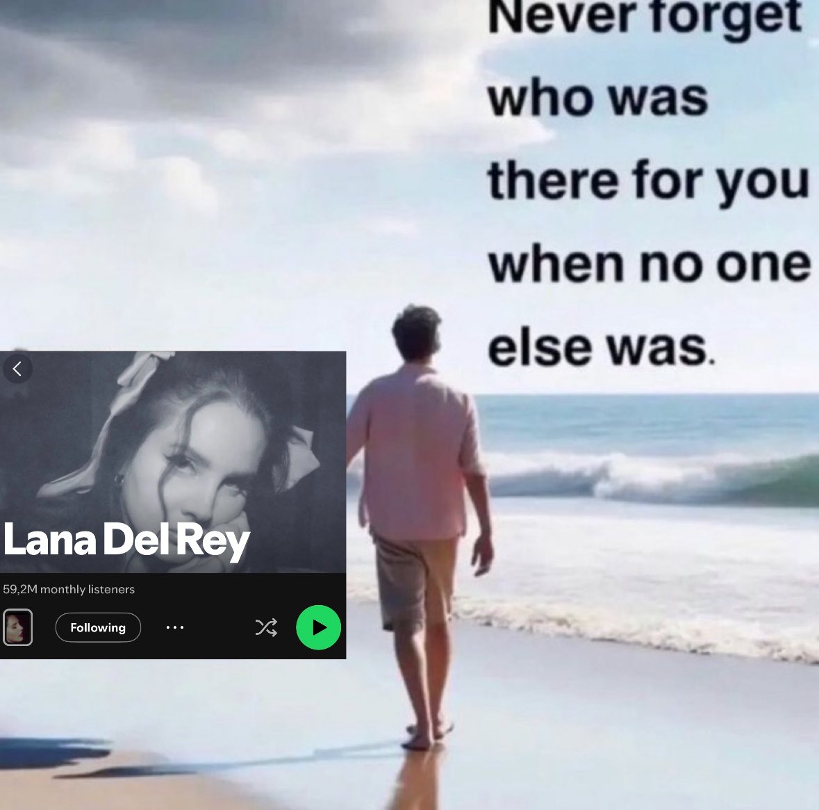 taylanasfavs's tweet image. 