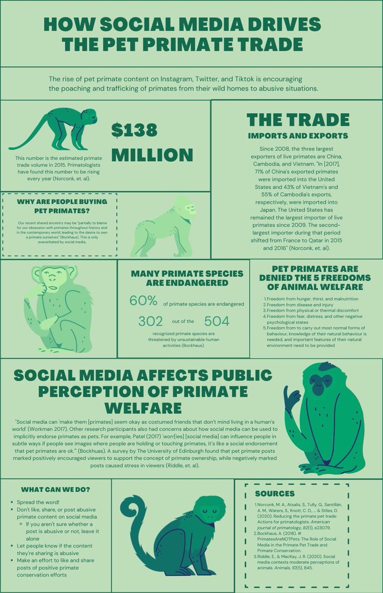 pewbsfest's tweet image. 🐒🎋 — INFOGRAPH(S) !!
PLEASE BE SURE TO SPREAD AWARENESS ABOUT THE ILLEGAL PET TRADE WITHIN PRIMATES!
#primatetwt #monkeytwt #monkeys #primates