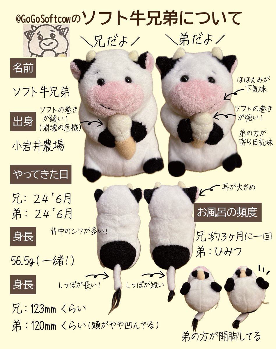go-go-softcow tweet media