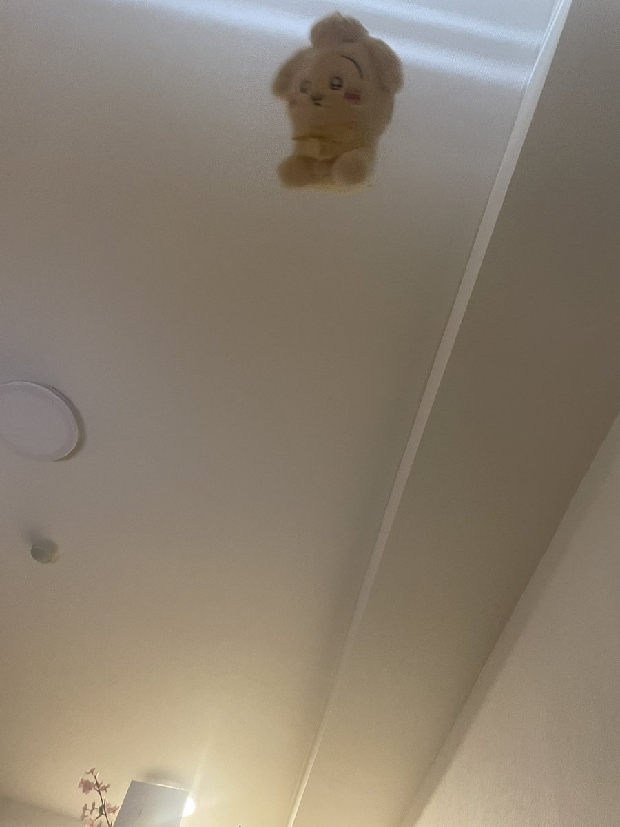 私、魔女のキキ！
こっちは空中にいるうさぎ