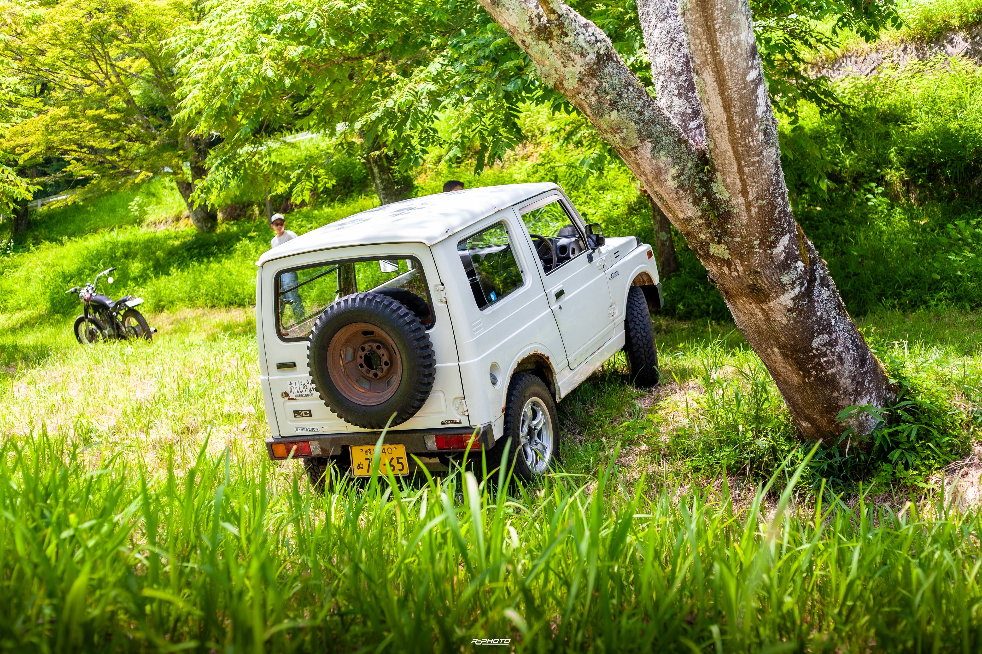 ryoooページ Amazon.co.jp: PUERI RCサメ ロボットサメ ラジコンボート