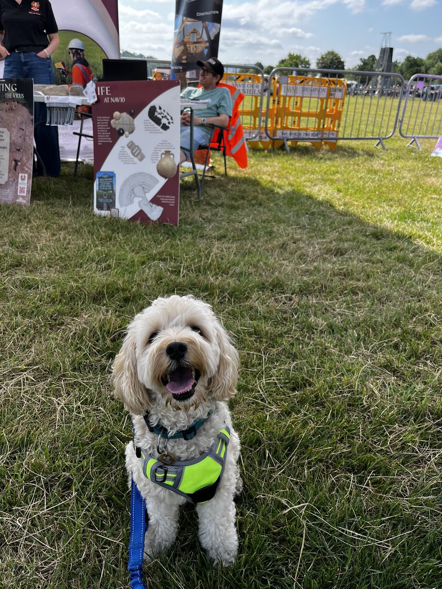 a happy Rupert to brighten your timeline!