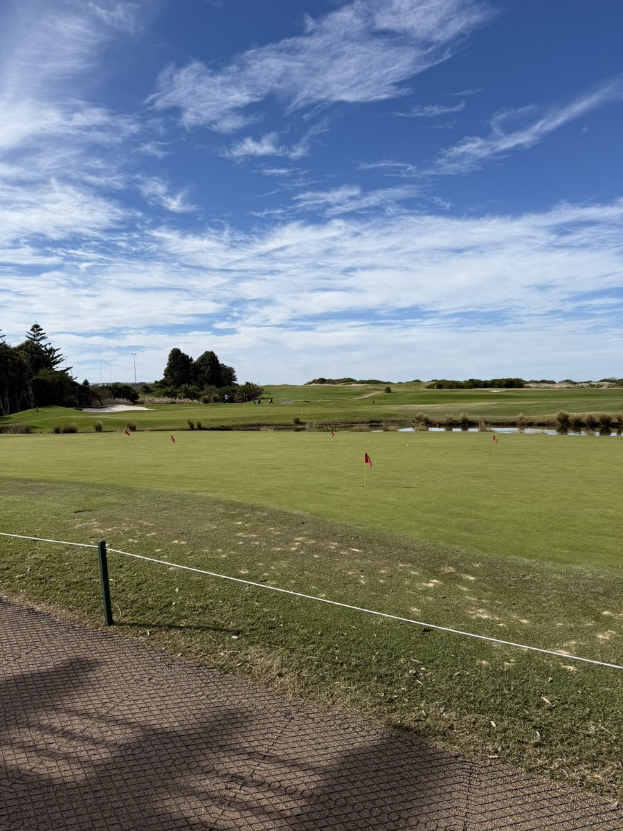 peterkats95's tweet image. Golf. pumpfun ICO. Does it get any better??

#openseatouchgrass