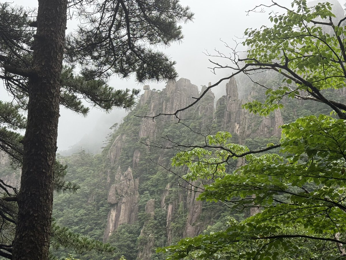 adj343's tweet image. 大好河山