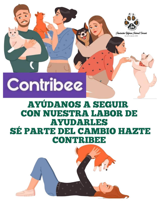 ¿ Y tú eres de los/as nuestros/as ? 

Sé parte del cambio.  

¿ Quieres donar mensualmente ? ¿ De modo ocasional ?  
Tú escoges. 
2€, 3€, 5€, 10€... Lo que tú quieras.
Ellos te necesitan. Nosotros/as te necesitamos. 

Hazte Contribee:  

contribee.com/adat

GRACIAS 💚