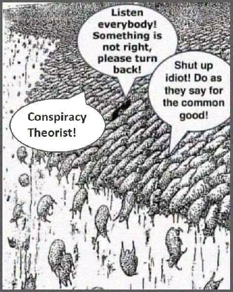 redpillbot (@redpillb0t) on Twitter photo 