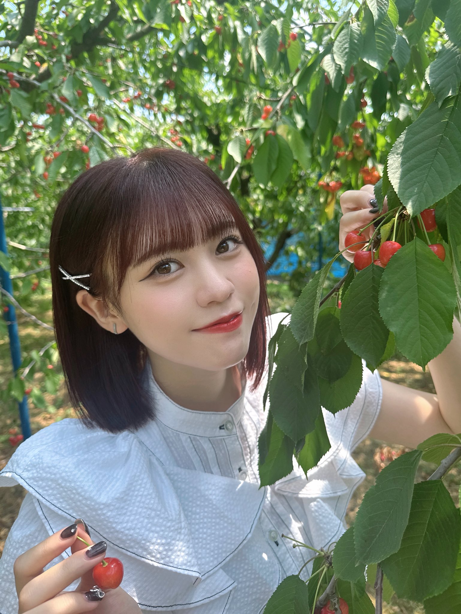 阿部菜々実（LIIiEN） on X: 
