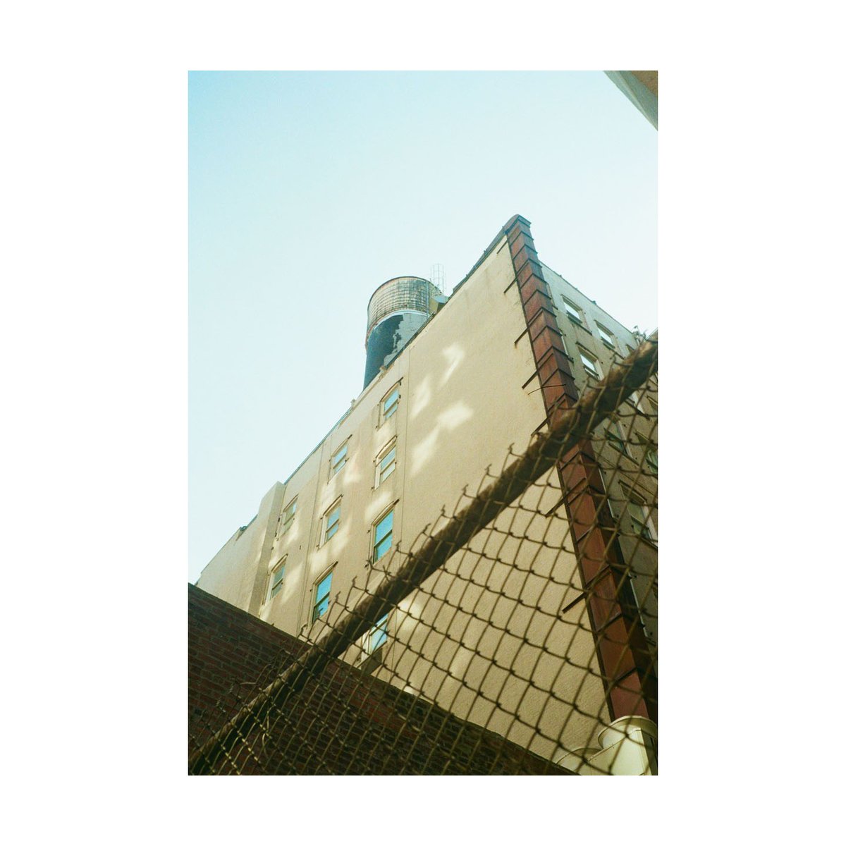 showmeNY2's tweet image. OLYMPUS Trip 35
KODAK Ultramax 400