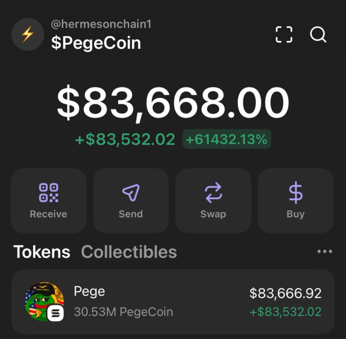 onchainhermes's tweet photo. Threw 6 SOL into #PegeCoin 12 hours ago… chart’s been cooking non-stop. 🔥📈, Up 83K already. This is what early conviction looks like. 🧠💸 No signals. No noise. Just real alpha.
Join my circle and start moving smarter. 🧩💼 #Solana #AlphaAlerts #CryptoGems https://t.co/3HA3nYCP0Q