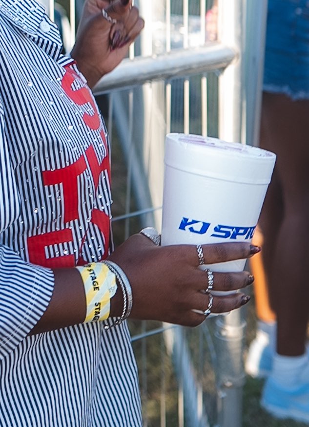 Ghana party in the park