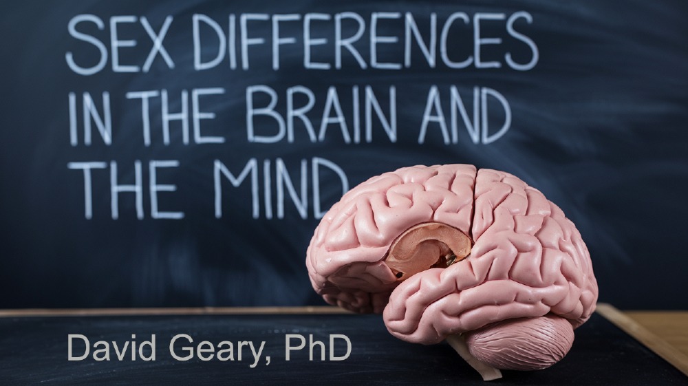 trgolden's tweet image. Sex Differences in the Brain and Mind, David Geary, PhD Is it Socialization or Biology? Which is more important in creating our differences? f.mtr.cool/mppgubwpuf
#sexdifferences #brain #testosterone