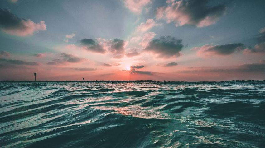 treemissions's tweet image. Did you know that the ocean absorbs about 30% of the carbon dioxide released into the atmosphere? It's like Mother Nature's own carbon sink! But here's the catch: as the ocean absorbs more CO2, it becomes more acidic, which can harm marine life. So, while the ocean is helping to…