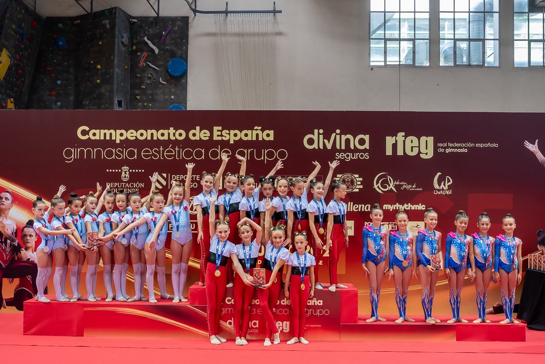 RFEGimnasia tweet media