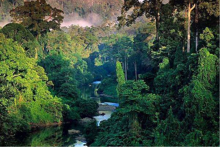 treemissions's tweet image. "I feel a great regard for trees; they represent age and beauty and the miracles of life and growth."
― Louise Dickinson Rich