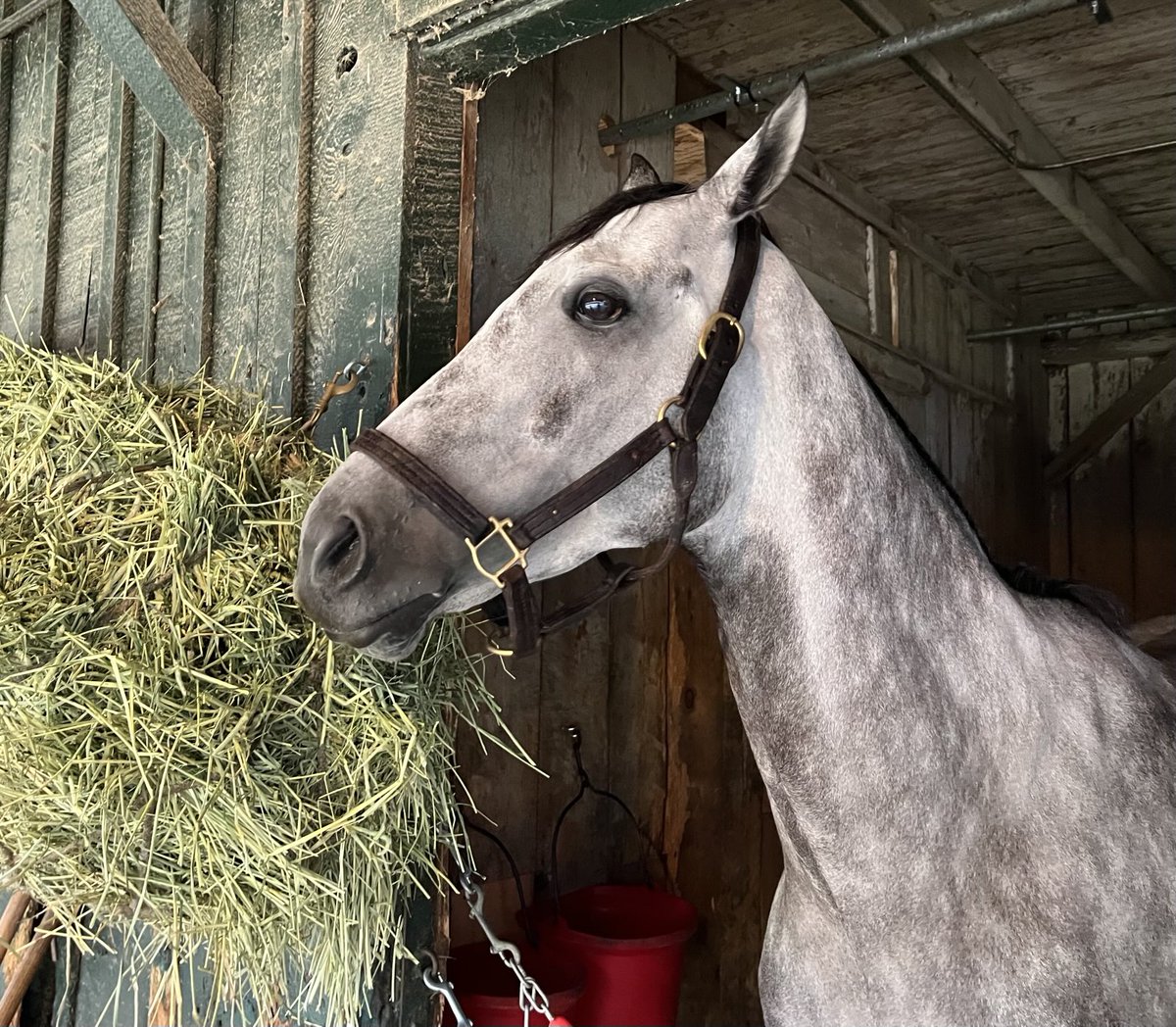 Lolita Shivmangal Trainer (@lolaraces) on Twitter photo Maggie T in the 8th today at the Spa w โฆ<a href="/romeronlsa/">Romero Maragh</a>โฉ up ๐๐ฟ Good luck to connections ๐ โฆ<a href="/michaelstripe74/">Michael Rosa</a>โฉ โฆ<a href="/Rudyrodriguez32/">Rudy Jr</a>โฉ #Saratoga Maggie T in the 8th today at the Spa w โฆ<a href="/romeronlsa/">Romero Maragh</a>โฉ up ๐๐ฟ Good luck to connections ๐ โฆ<a href="/michaelstripe74/">Michael Rosa</a>โฉ โฆ<a href="/Rudyrodriguez32/">Rudy Jr</a>โฉ #Saratoga
