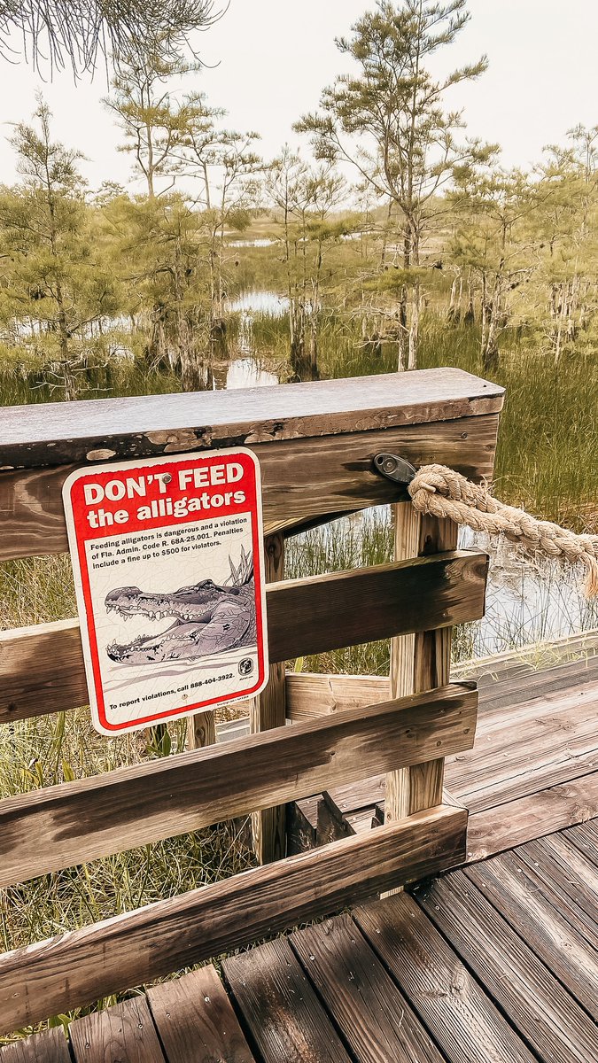 You are the main character in your story, and the work of healing from a dysfunctional, painful past lies before you. This is the start of your hero’s journey.

Until now, you’ve been wading through struggle, survival, and codependence, relying on supporting characters to carry