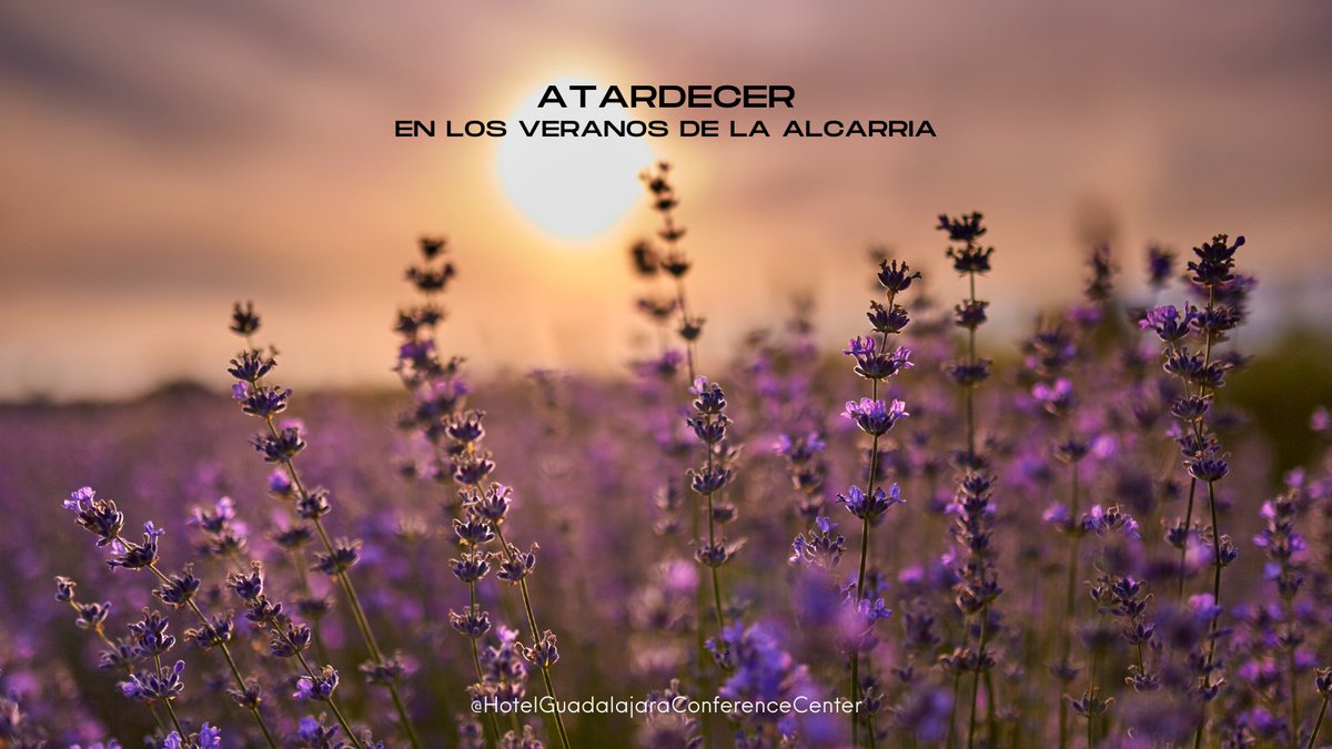 🌇 Atardeceres en los campos de la Alcarria que pintan de oro nuestras tardes de verano. 

🌅 ¿Dónde has visto el atardecer más bonito? Cuéntanos.

📍 #AtardecerEnGuadalajara #VeranoEnLaAlcarria #HotelGuadalajara #hotelguadalajaraconferencecenter #AffiliatedByMelia