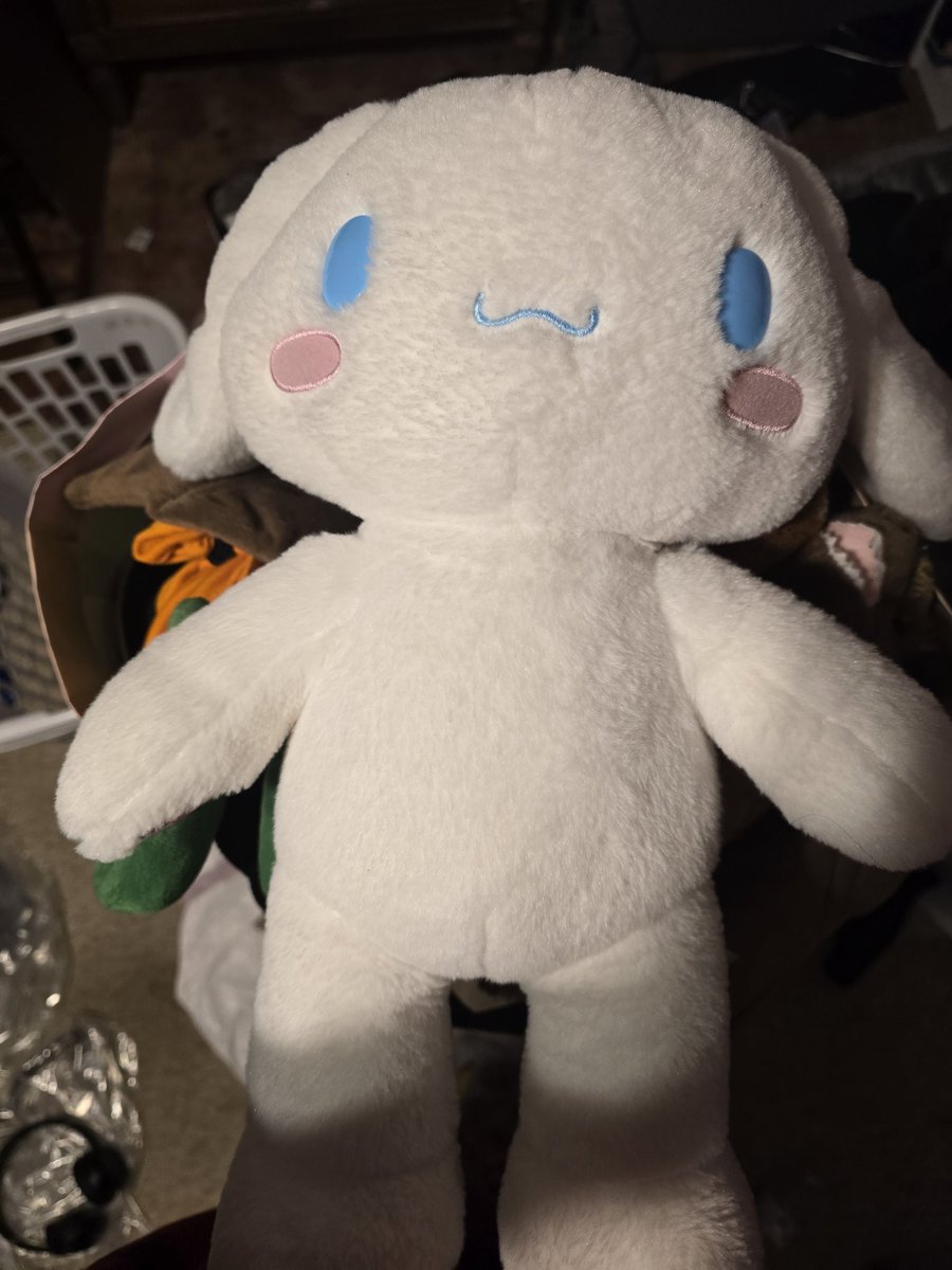 oshawottttt_'s tweet image. If I were to sell this mint conditioned sanrio cinnamoroll build a bear. Would any of yall buy? Trying to make money to get out of my house hold. Wanted to sell at $38 bc thats how much it is. Im willing to negotiate the price though
#sanrio #cinnamoroll #buildabear
