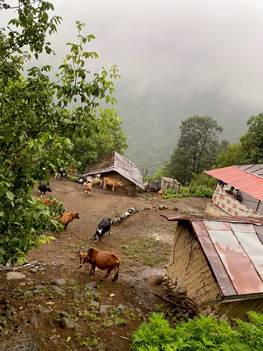 من عاشقی از کمال تو آموزم
بیت و غزل از جمال تو آموزم
در پردهٔ دل خیال تو رقص کند
من رقص خوش از خیال تو آموزم

🪸🪸🪸 
#مولانا
‌