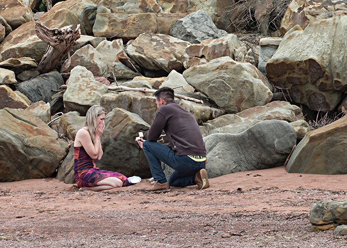 BAMBZ 🦌 tweet media