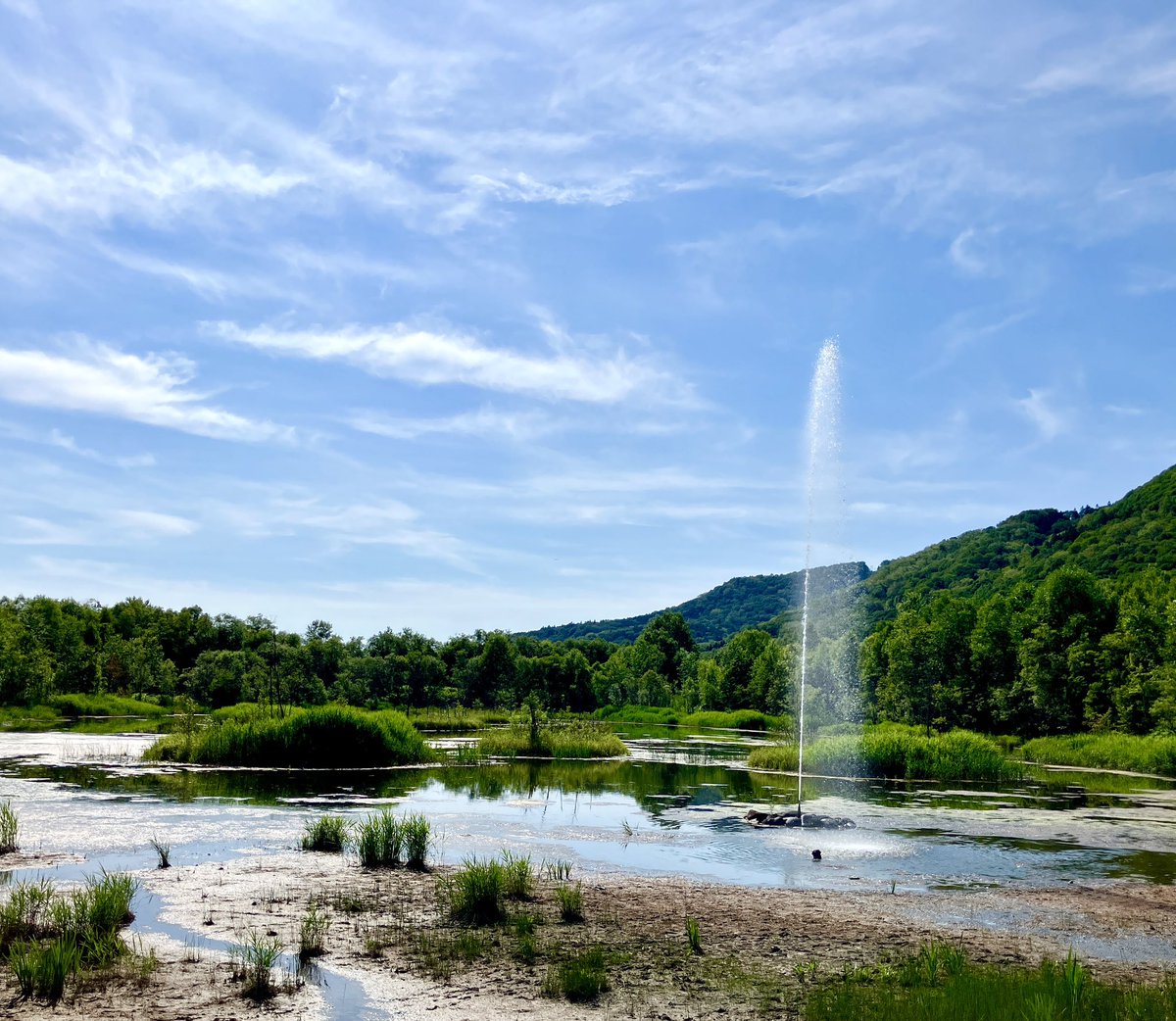 19日にライブを控え、心を整えたいと東川へ。ここは🌈七色の噴水🌈
旭岳源水の源泉から高低差を利用して、電力を使うことなく自噴している。
水の音、風の音、虫の声、緑の匂い、全てが優しい。頭の奥がすーっと整う。
私は旭岳をはじめ大雪山が大好きです。
自然のパワー充電させてもらいました。