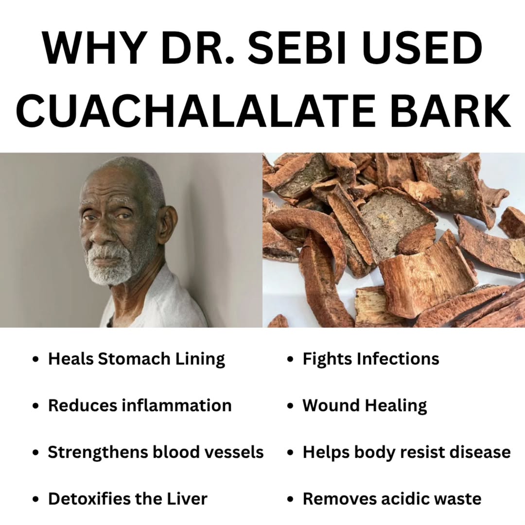 DrSebiSeaMoss's tweet image. Cuachalalate Bark is a rare and powerful herb.
It’s known to heal the stomach lining, soothe gastritis, and flush toxins from the liver and blood.
If you’re dealing with digestive issues, inflammation, or just want a deep internal cleanse, Cuachalalate is a must.
It also helps…