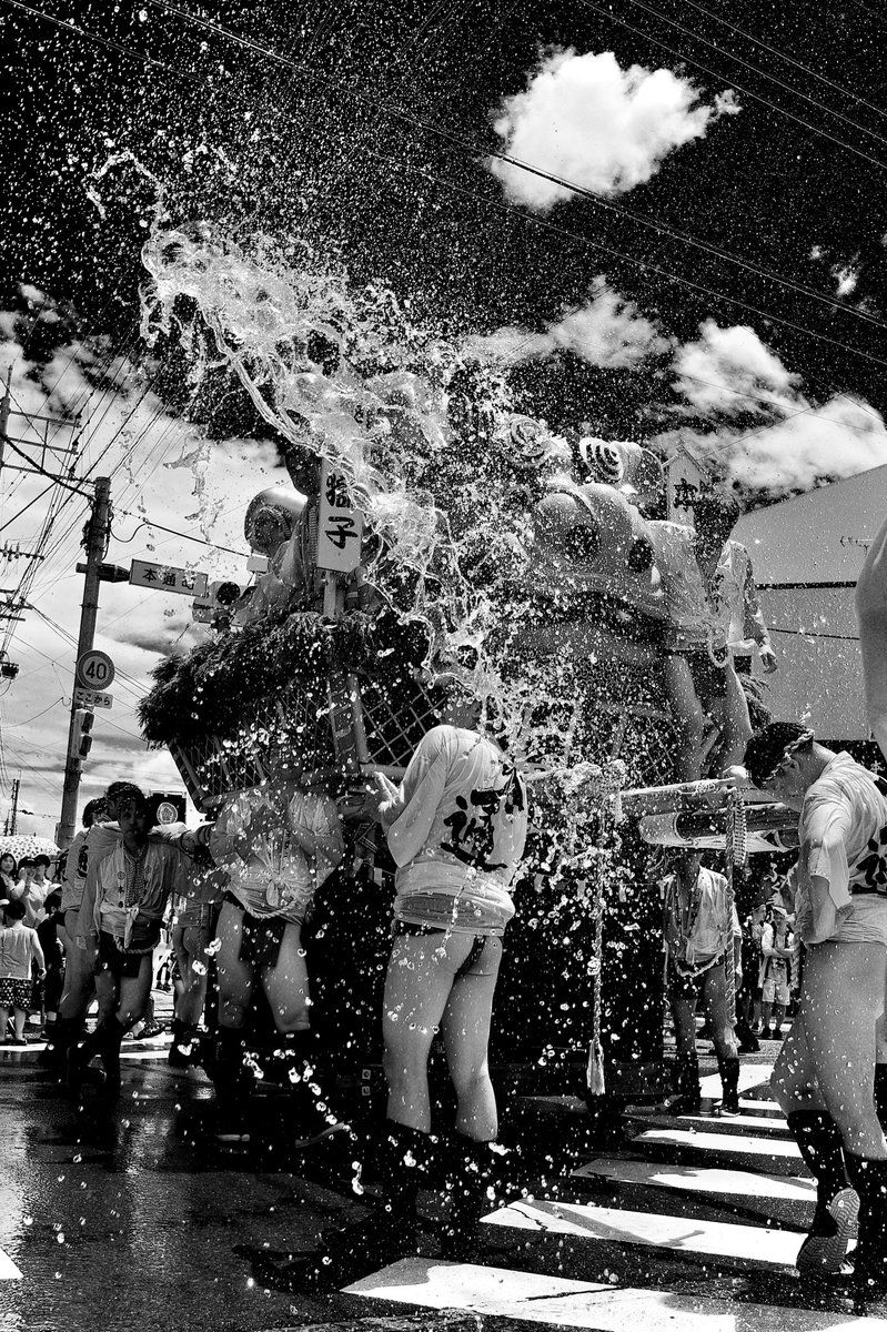 Samechan__17's tweet image. 優しい時間 2025 No189
Gentle Time
#優しい時間
#gentletime
#gr3
#モノクロ写真
#blackandwhitephotography
#白黒写真
#monochromephotography
#写真が好きな人と繋がりたい
