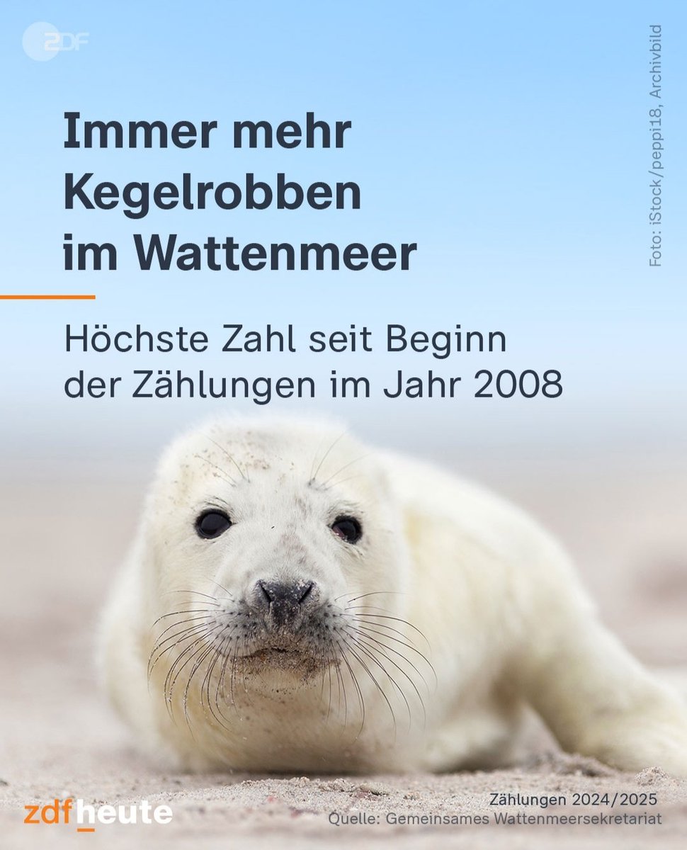 Die größten Raubtiere Deutschlands