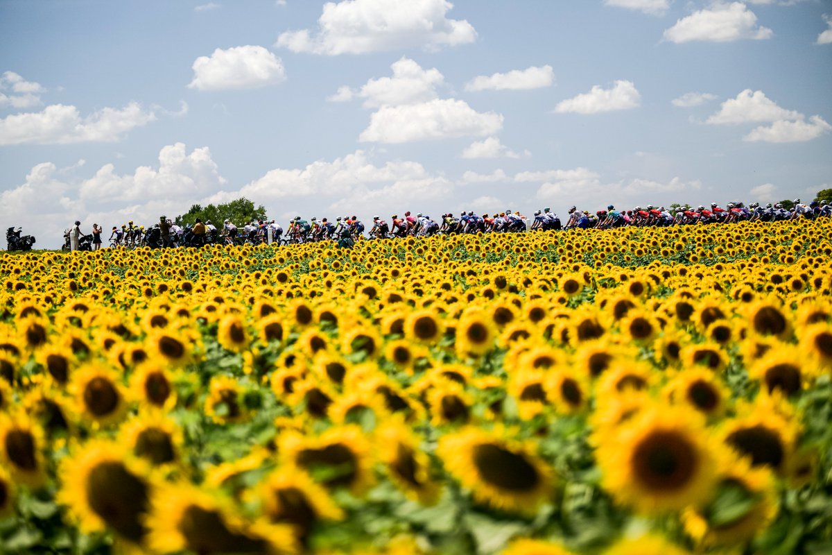 Tour de Franceโข (@letour) on Twitter photo ๐ฆโ
๏ธ๐ฆ๐ฆ๐ฆโ
๏ธโ
๏ธ๐ฆ๐ฆโ
๏ธโ
๏ธ๐ฆ๐ฆ
โ
๏ธโ
๏ธ๐ฆ๐ฆโ
๏ธ๐ฆ๐ฆ๐ฆโ
๏ธ๐ฆ๐ฆ๐ฆโ
๏ธ
๐ฆ๐ฆ๐ณ๐ฆ๐ฆ๐ฆโ
๏ธ๐ฆ๐ฆโ
๏ธ๐ฆ๐ฆ๐ฆ
๐ดโโ๏ธ๐ดโโ๏ธ๐ดโโ๏ธ๐ดโโ๏ธ๐ดโโ๏ธ๐ดโโ๏ธ๐ดโโ๏ธ๐ดโโ๏ธ๐ดโโ๏ธ๐ดโโ๏ธ๐ดโโ๏ธ๐ดโโ๏ธ๐ดโโ๏ธ
๐ป๐ป๐ป๐ป๐ป๐ป๐ป๐ป๐ป๐ป๐ป๐ป๐ป
๐ป๐ป๐ป๐ป๐ป๐ป๐ป๐ป๐ป๐ป๐ป๐ป๐ป
๐ป๐ป๐ป๐ป๐ป๐ป๐ป๐ป๐ป๐ป๐ป๐ป๐ป
๐ป๐ป๐ป๐ป๐ป๐ป๐ป๐ป๐ป๐ป๐ป๐ป๐ป
๐ป๐ป๐ป๐ป๐ป๐ป๐ป๐ป๐ป๐ป๐ป๐ป๐ป
#TDF2025 ๐ฆโ
๏ธ๐ฆ๐ฆ๐ฆโ
๏ธโ
๏ธ๐ฆ๐ฆโ
๏ธโ
๏ธ๐ฆ๐ฆ
โ
๏ธโ
๏ธ๐ฆ๐ฆโ
๏ธ๐ฆ๐ฆ๐ฆโ
๏ธ๐ฆ๐ฆ๐ฆโ
๏ธ
๐ฆ๐ฆ๐ณ๐ฆ๐ฆ๐ฆโ
๏ธ๐ฆ๐ฆโ
๏ธ๐ฆ๐ฆ๐ฆ
๐ดโโ๏ธ๐ดโโ๏ธ๐ดโโ๏ธ๐ดโโ๏ธ๐ดโโ๏ธ๐ดโโ๏ธ๐ดโโ๏ธ๐ดโโ๏ธ๐ดโโ๏ธ๐ดโโ๏ธ๐ดโโ๏ธ๐ดโโ๏ธ๐ดโโ๏ธ
๐ป๐ป๐ป๐ป๐ป๐ป๐ป๐ป๐ป๐ป๐ป๐ป๐ป
๐ป๐ป๐ป๐ป๐ป๐ป๐ป๐ป๐ป๐ป๐ป๐ป๐ป
๐ป๐ป๐ป๐ป๐ป๐ป๐ป๐ป๐ป๐ป๐ป๐ป๐ป
๐ป๐ป๐ป๐ป๐ป๐ป๐ป๐ป๐ป๐ป๐ป๐ป๐ป
๐ป๐ป๐ป๐ป๐ป๐ป๐ป๐ป๐ป๐ป๐ป๐ป๐ป
#TDF2025