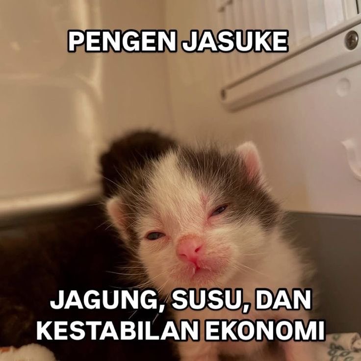 CucutBerak tweet media