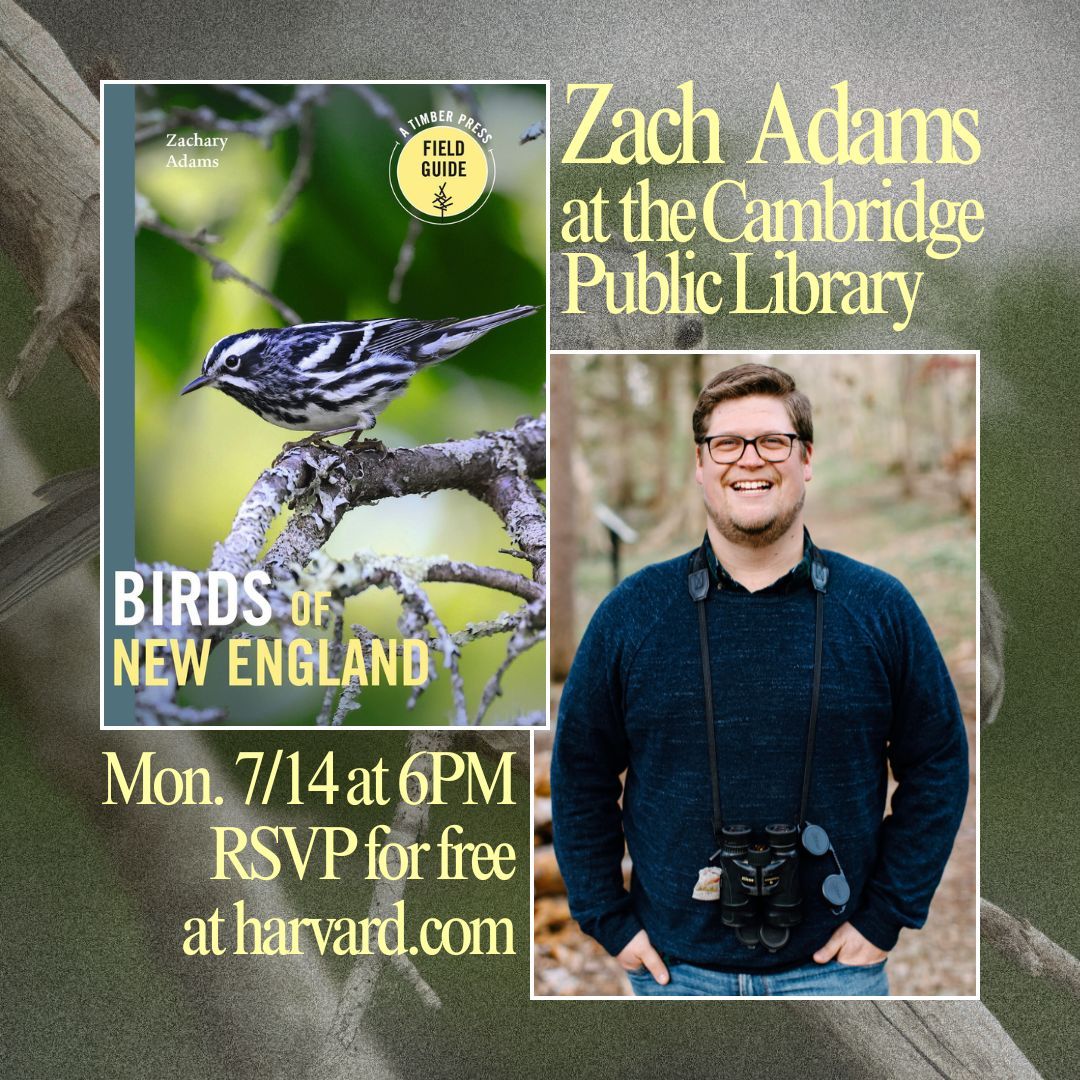 HarvardBooks's tweet image. 📅 Mon. 7/14 @ 6PM: Come all ye bird lovers and celebrate avian New England with us at the CPL! Zach Adams will be discussing his debut field guide "Birds of New England", a delight for bird aficionados everywhere. Learn more and RSVP for free here: buff.ly/Z4BDpoG