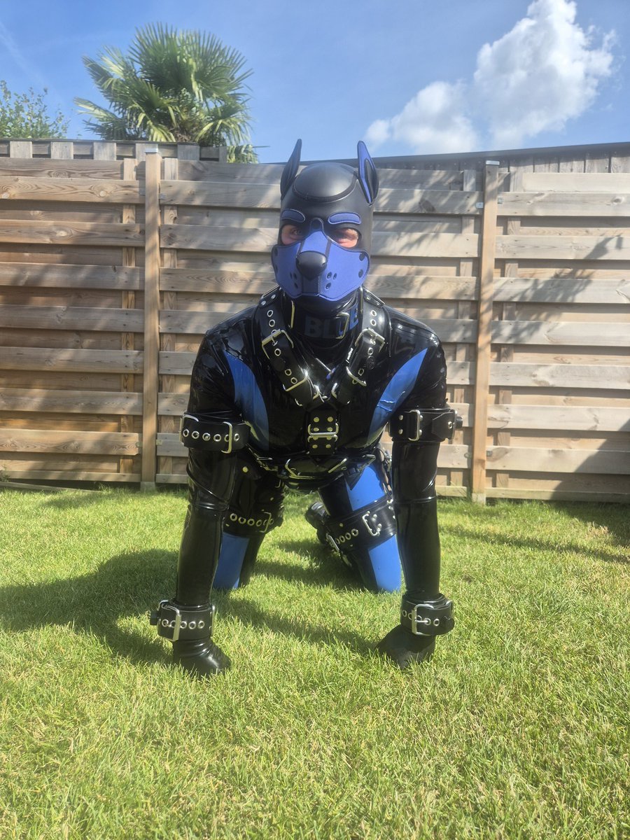 rubber pup blue (@pup95blue) on Twitter photo fun weekend with rubber outside in the sun what could be beter
<a href="/cuffedstore/">Cuffed Store</a>
<a href="/KinkyProjects/">KinkyProjects</a> fun weekend with rubber outside in the sun what could be beter
<a href="/cuffedstore/">Cuffed Store</a>
<a href="/KinkyProjects/">KinkyProjects</a>