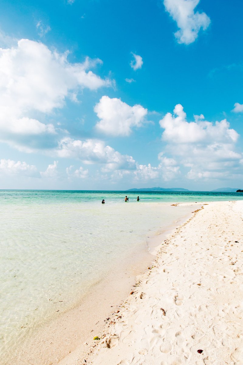 sanamaru. tweet media