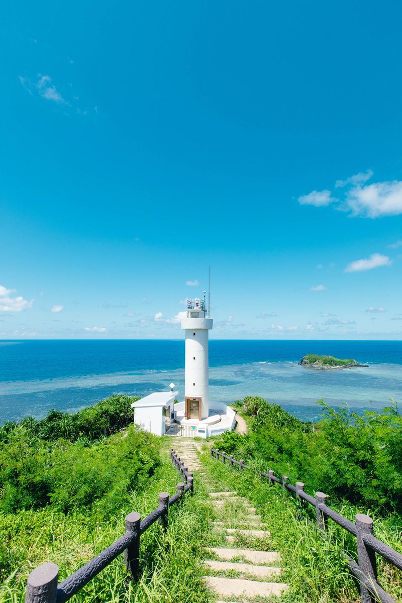 sanamaru. tweet media