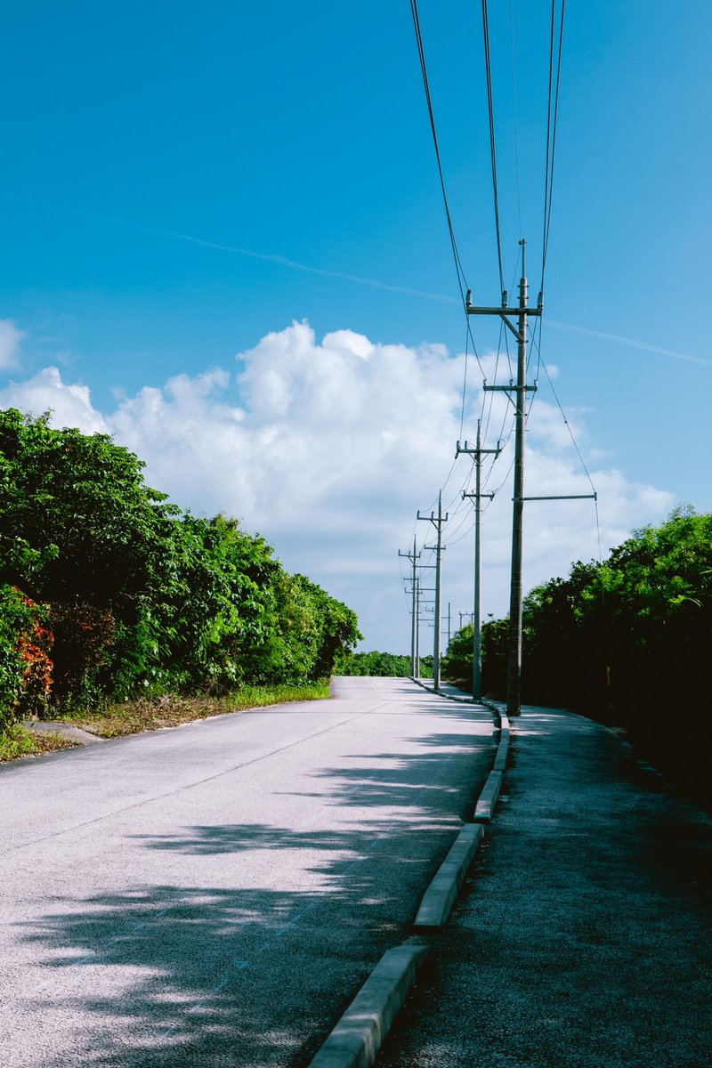 sanamaru. tweet media