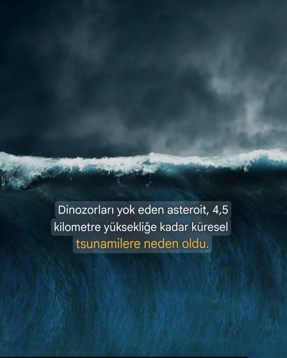 66 milyon yıl önce dinozorları yok eden asteroit yalnızca kitlesel yok oluşlara neden olmadı, aynı zamanda kıyamet ölçeğinde küresel bir tsunamiye de yol açtı.

2022 yılında yapılan bir araştırma, bu devasa dalganın Meksika Körfezi'nde 4,5 km yüksekliğe ulaştığını ve çarpma