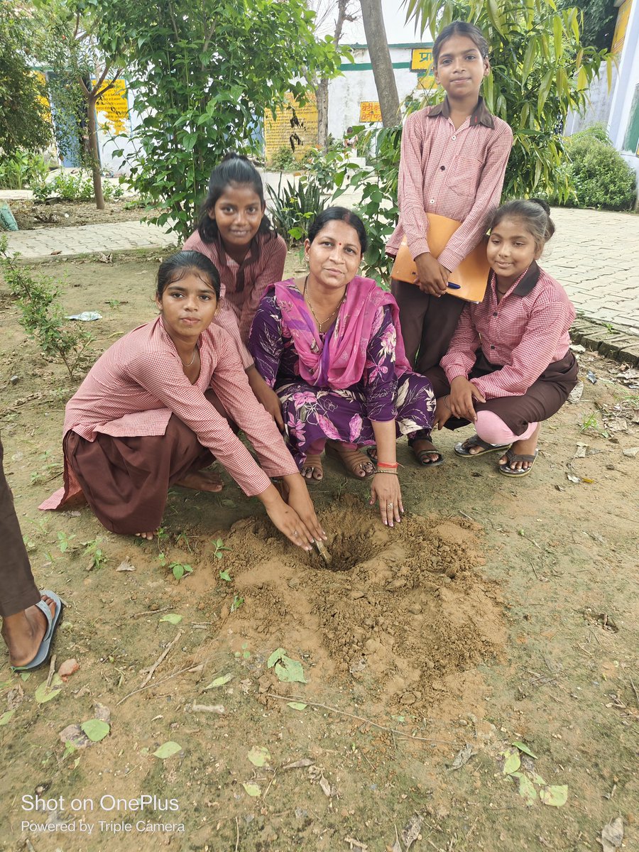 🌳#प्रकृति_मित्र🌳
Name - Puja Verma ( H.T)
Address - Primary School Navanagar Iglas, Aligarh 
<a href="/shikshansamvad/">मिशन शिक्षण संवाद @shikshansamvad</a> 
<a href="/teachersclubup/">teachers club</a> <a href="/UNEP/">UN Environment Programme</a>
<a href="/eriksolheim/">Erik Solheim</a> <a href="/myogiadityanath/">Yogi Adityanath</a>
<a href="/narendramodi/">Narendra Modi</a> <a href="/DEFCCOfficial/">Department of Environment, Forest & Climate Change</a> 
<a href="/basicshiksha_up/">Department Of Basic Education Uttar Pradesh</a> 
<a href="/Rupendersingh02/">Rupender Singh MSS</a> 
साभार - टीम प्रकृति मित्र 
#EkPedMaaKeNaam