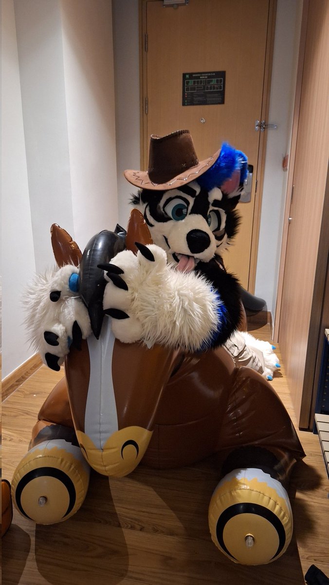 Ickx_Husky's tweet image. Horse riding exercises to prevent lumbago