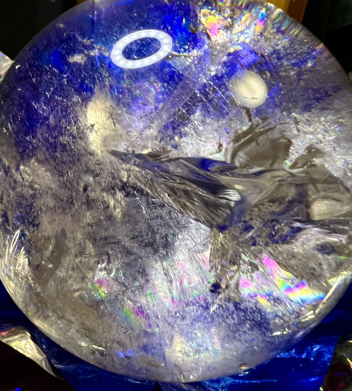 龍神様といつも一緒⭐︎国産水晶ペンダントトップ 楽天市場】天然石 パワーストーン ペンダントトップ 龍 竜