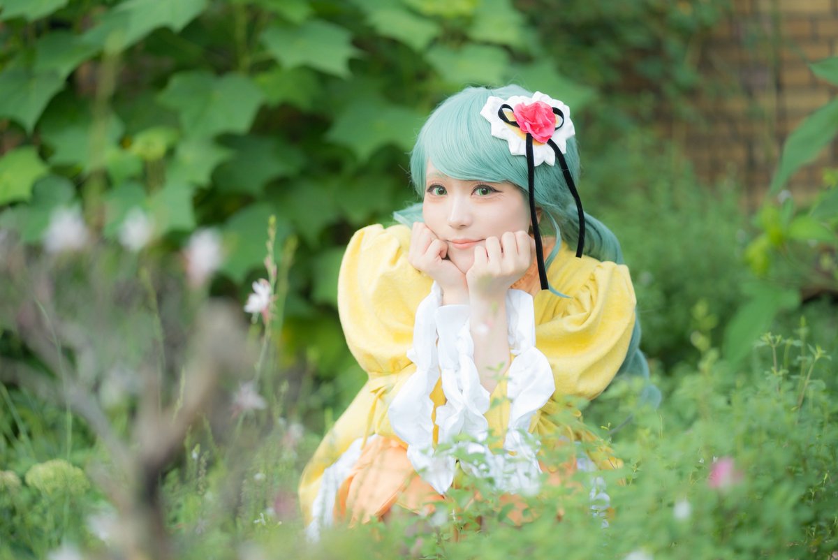 Kanariaページ Kanaria - Search / X