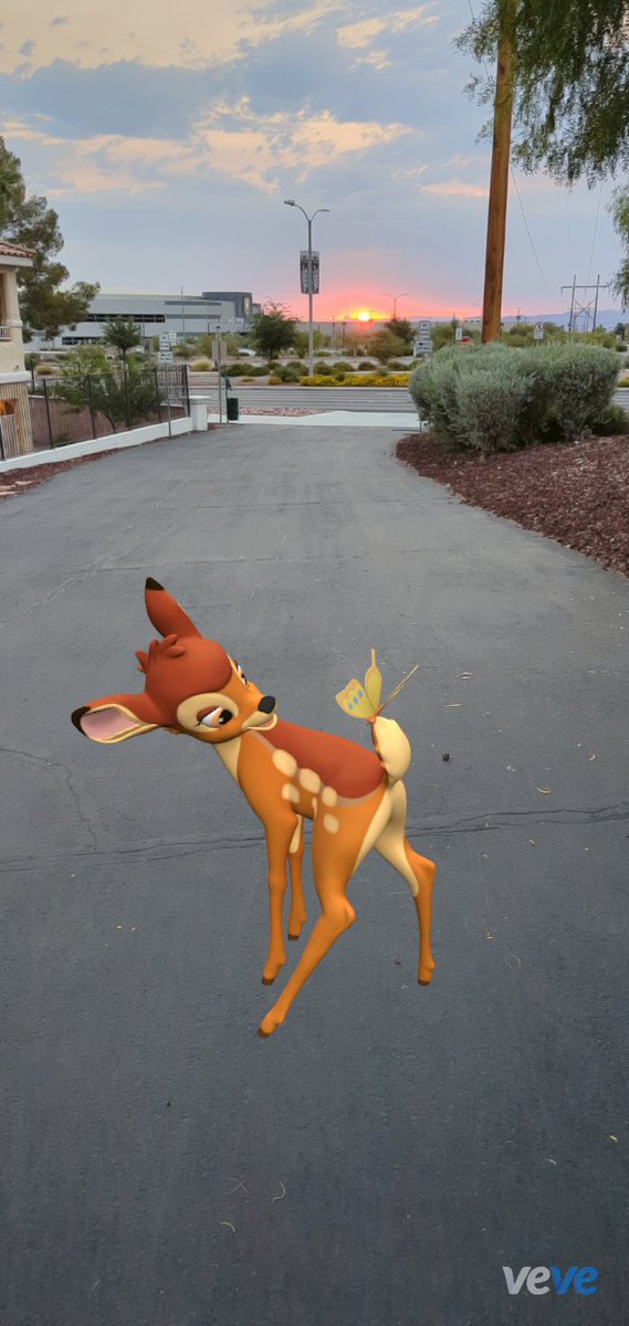 Rise and shine and be greatful.