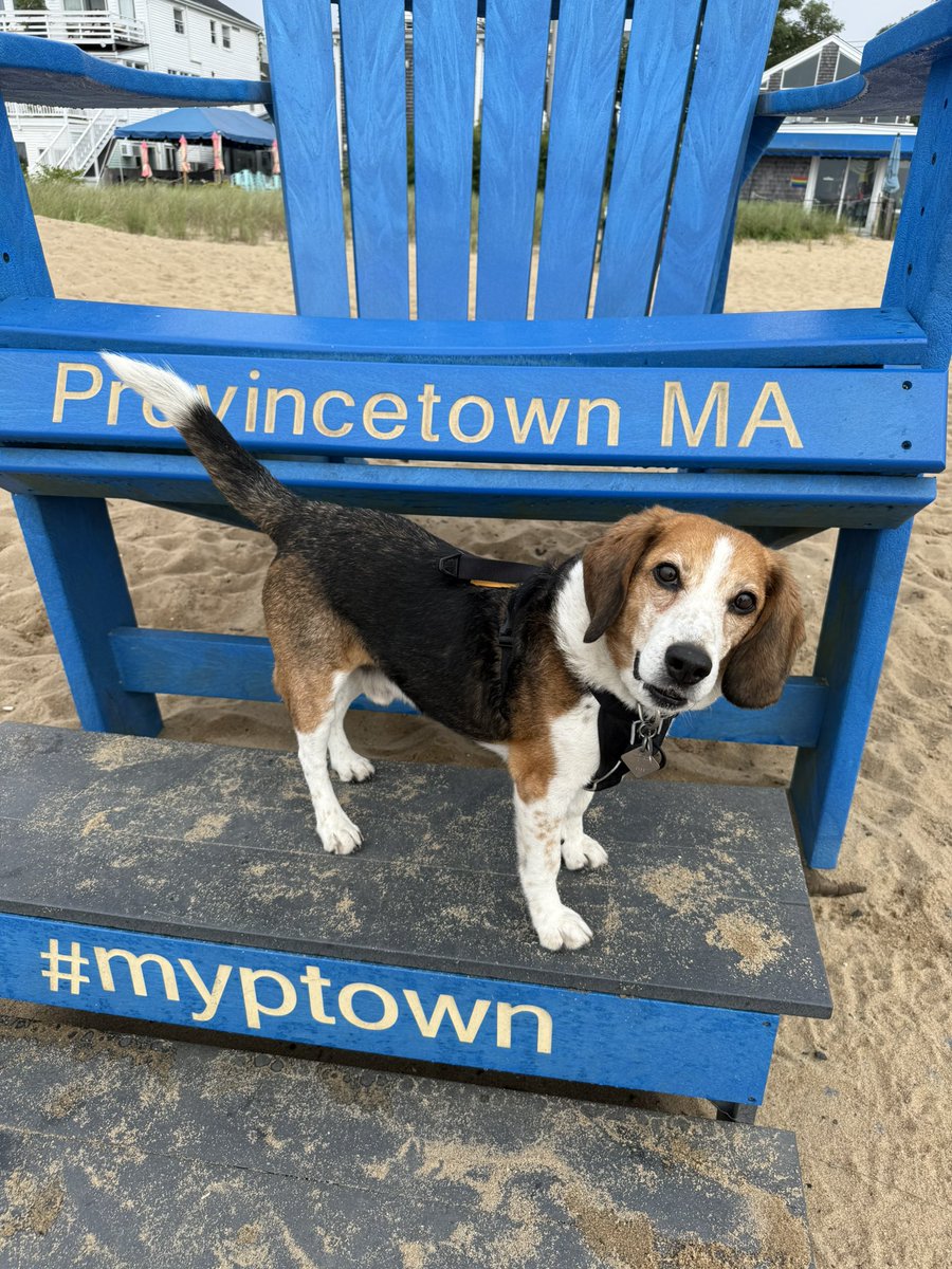 coachNicodemo's tweet image. Ptown for the week! π§ΈπΆπ