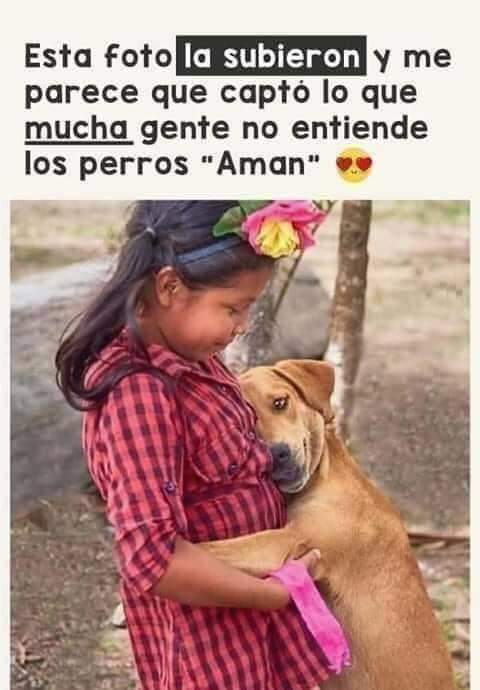 Guadalupe Ramirez (@gramirezf_d) on Twitter photo Buenos días Feliz domingo 🐾🐶❤️ Buenos días Feliz domingo 🐾🐶❤️
