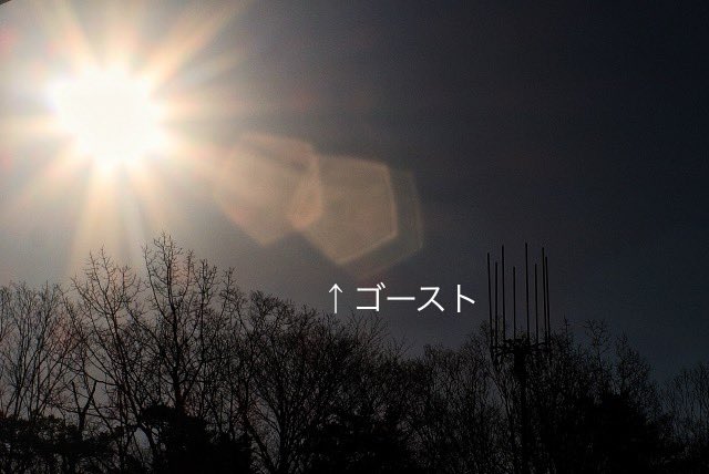 _June_ray's tweet image. このあいだ中世〜近世ヨーロッパが舞台っぽいマンガ読んでたら太陽光の演出として五角形のゴーストが描かれてて、このコマって絞り羽根5枚のレンズで撮影したってことですか……?と思った