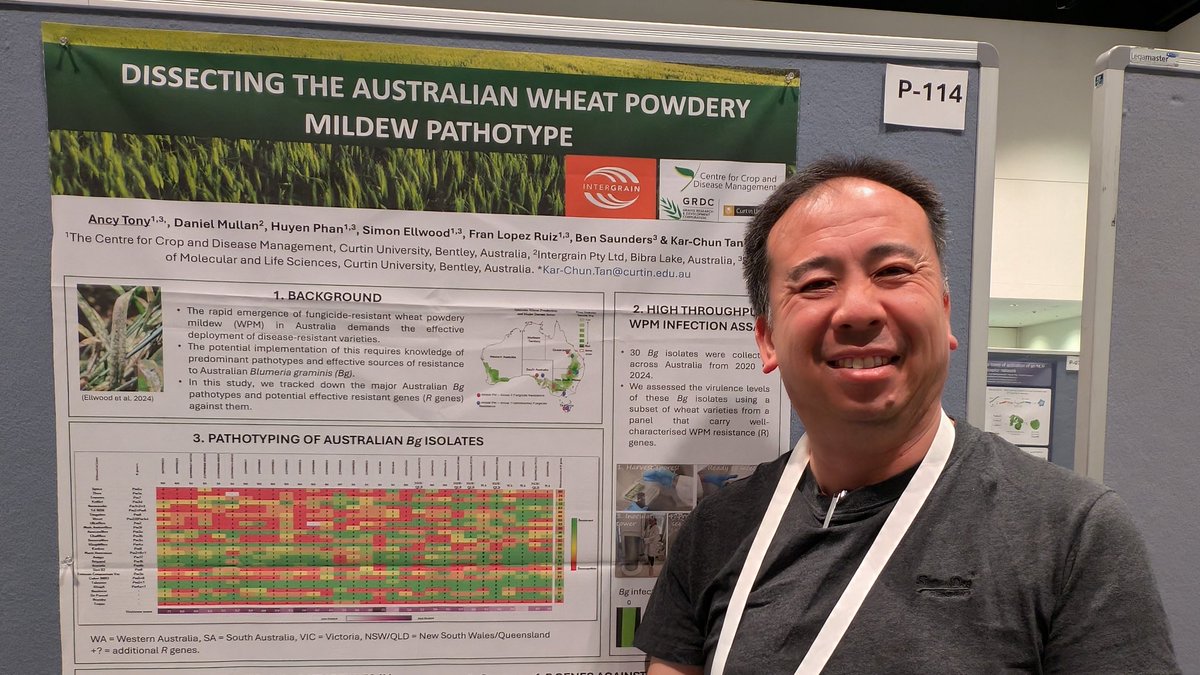 KC ๐จโ๐ฌ๐พ๐๐ฆ๐บ (@karchuntan) on Twitter photo I've got a @theccdm <a href="/InterGrain1/">InterGrain</a> poster on wheat powdery mildew (P-114)! Come and chat with us on Tuesday 9.55-11.30am! ๐๐ #2025ISMPMI I've got a @theccdm <a href="/InterGrain1/">InterGrain</a> poster on wheat powdery mildew (P-114)! Come and chat with us on Tuesday 9.55-11.30am! ๐๐ #2025ISMPMI