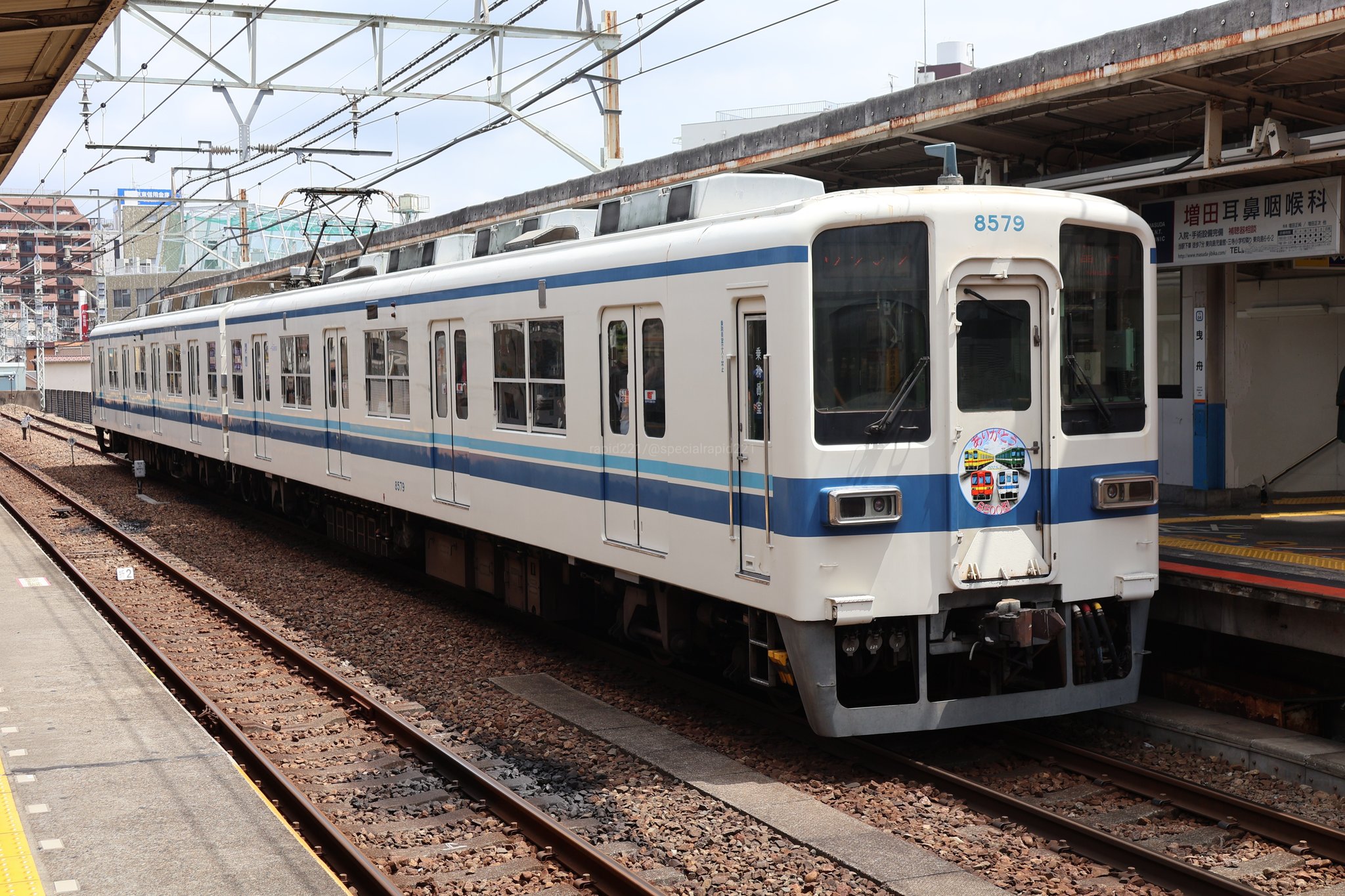 大和 TK3824-1/2-77 | Whitestone Gallery
